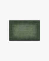 Aura Ombre Solid Sage Rug