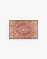 Rayne Pink & Orange Rug