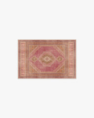 Rayne Pink & Orange Rug